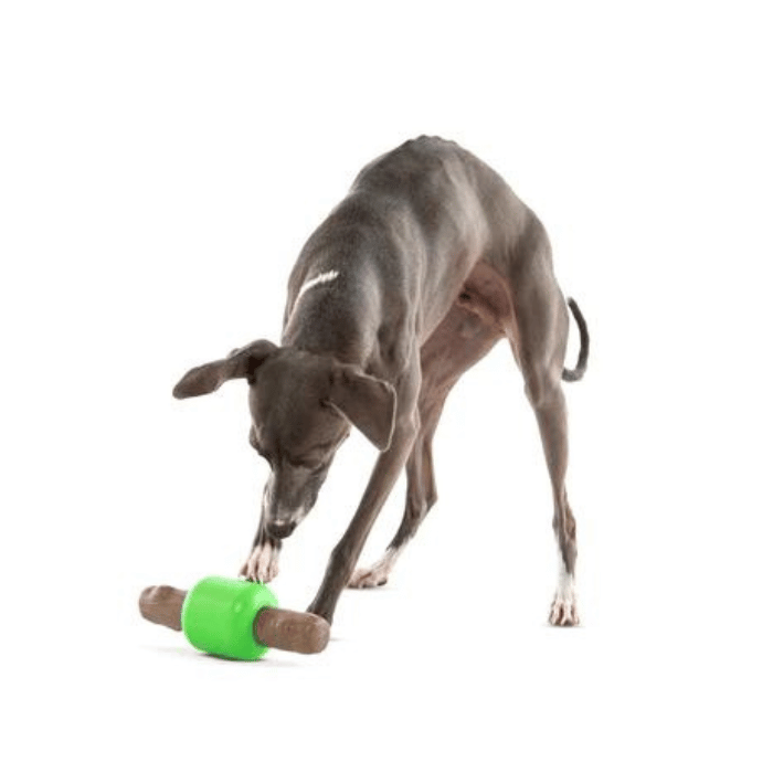 Guru Jouet interactif - Spin & Treat Stick