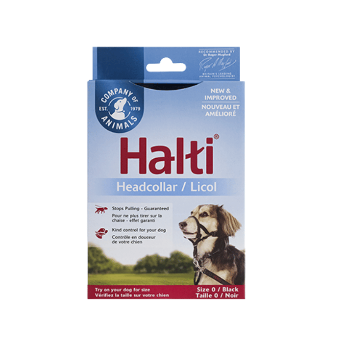 harnais halti licol pour chien