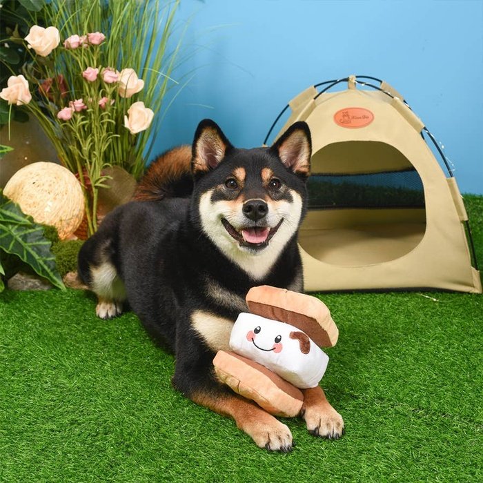 Hugsmart Products Inc HugSmart Pet - Camping Pups | S&#39;more - Jouet en peluche pour chien