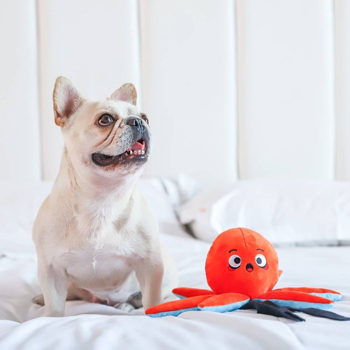 Hugsmart Products Inc HugSmart Pet - Ocean Pals | Octopus - Jouet en peluche pour chien