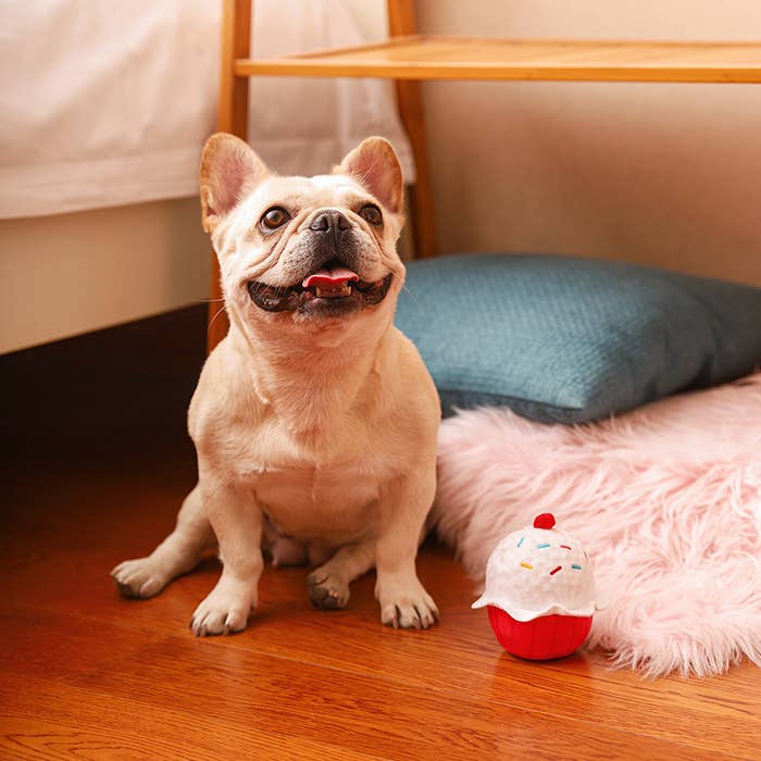 Hugsmart Products Inc HugSmart Pet - Woof Love | Cupcake - Jouet en forme de boule pour chiens