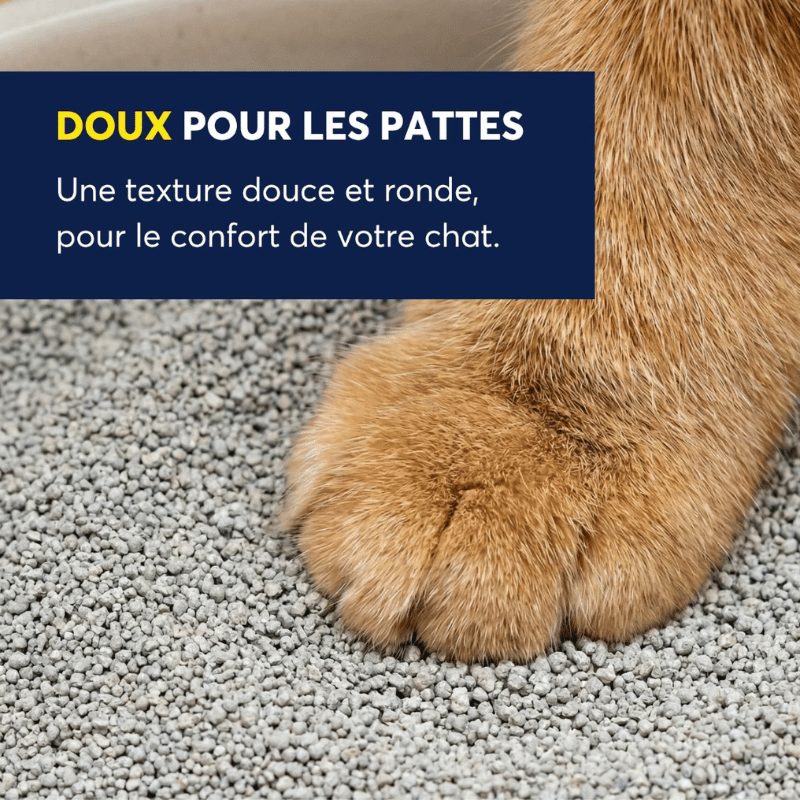 Intersand litiere agglomérante Intersand Odourlock Légère Litière Agglomérante, Parfum Délicat 5 Kg Intersand Odourlock Légère 5 Kg, Parfum Délicat | Sherbrooke Canin