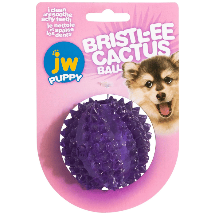Jw pet balle Jouet interactif pour chiot Balle cactus JW Bristl-ee