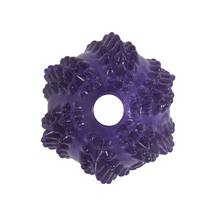 Jw pet balle Jouet interactif pour chiot Balle cactus JW Bristl-ee