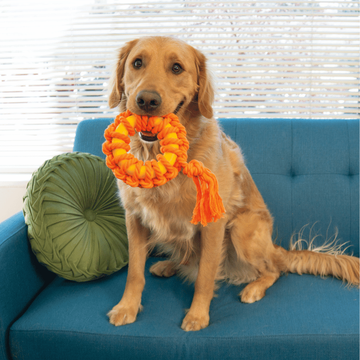 kong jouet interactif Kong Rope Ringerz - couleur aléatoire