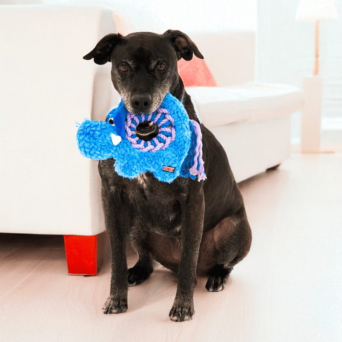 Kong Jouet pour chien - Kong éléphant ringaroos Jouet pour chien - Kong éléphant ringaroos
