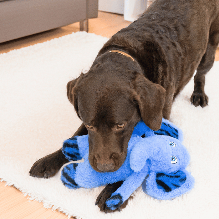 Kong Jouet pour chien - Kong jungle jamz éléphant Jouet pour chien - Kong jungle jamz éléphant