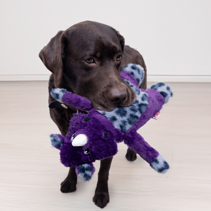 Kong Jouet pour chien - Kong jungle jamz Rhino Jouet pour chien - Kong jungle jamz Rhino