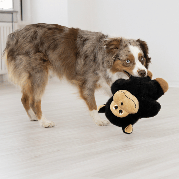 Kong Jouet pour chien - Kong snuzzles Gorille XL Jouet pour chien - Kong snuzzles Gorille XL