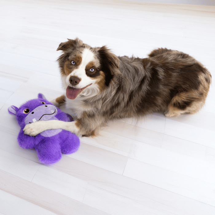 Kong Jouet pour chien - Kong snuzzles hippo XL Jouet pour chien - Kong snuzzles hippo XL