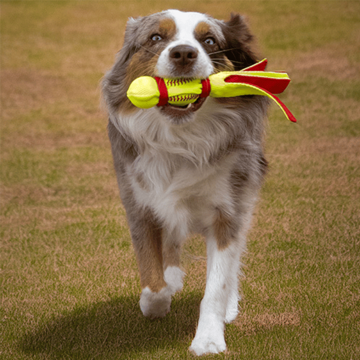 kong jouets pour chien Jouet à tirer Kong Wubba Sport Softball – Petit Jouet Kong Wubba Sport Softball pour Chien | Sherbrooke Canin
