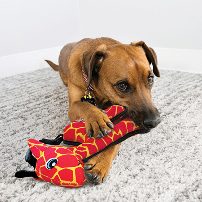 kong jouets pour chien Kong ballistic girafe médium/large