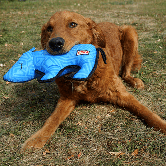 Kong harness medium best sale