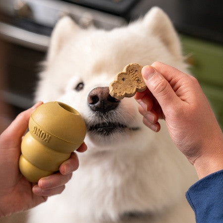 KONG Classic Gold dog toy - 50th Anniversary Edition KONG Classic Gold - 50th Anniversary Edition
