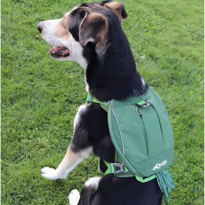 Kurgo Harnais Harnais Pour Chien Kurgo Cascade - Vert