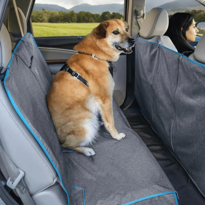Kurgo - Attache Sécurité Direct Seat-belt Voiture pour Chien