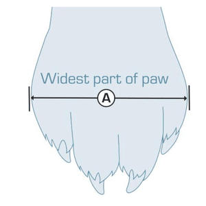 Kurgo Blaze Dog Boots Set of 2 Sherbrooke Canin