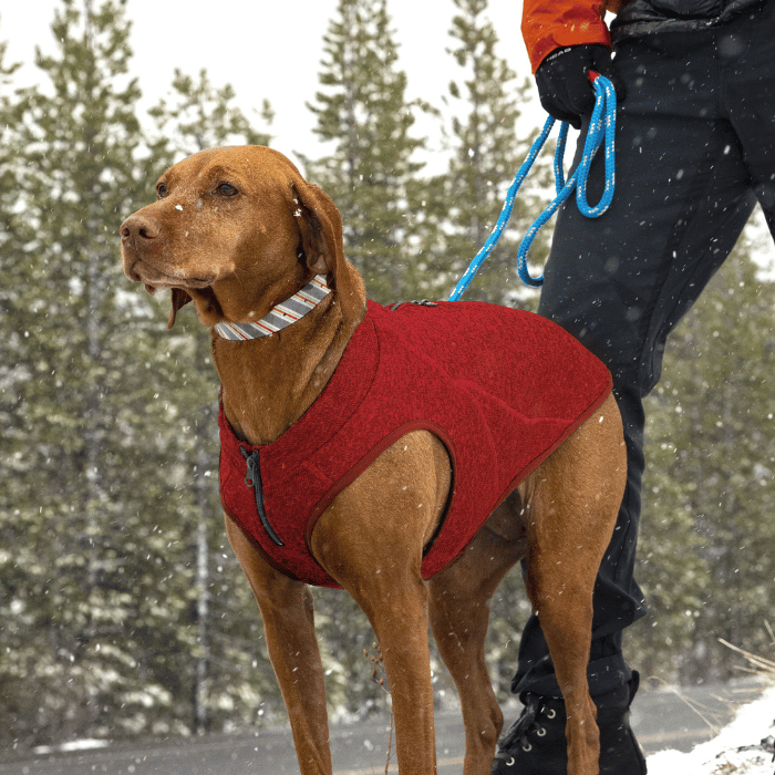 Kurgo Kurgo Chandail k9 Core Pour Chien, En Molleton - Rouge Chiné