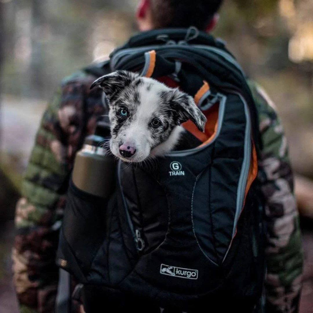 Kurgo sac a dos Sac à dos Kurgo G-Train K9 pack Sac à dos Kurgo G-Train K9 pack