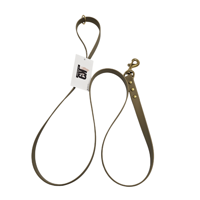 La fabrique K9 Laisse en biothane 5 pieds Laisse en biothane 5 pieds