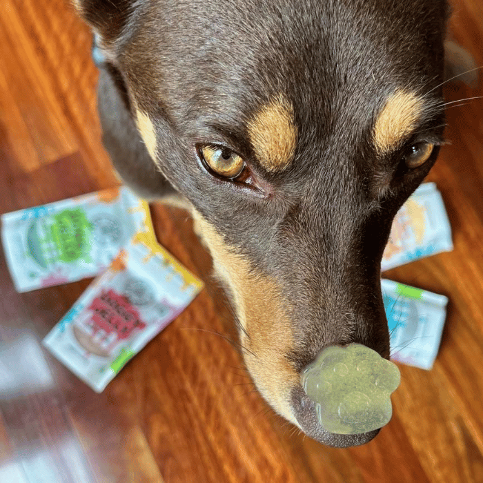 Lulu's Kitchen Gelée de superaliments nature