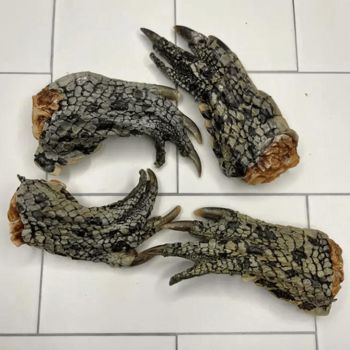Lulu's Kitchen GOT CROCS - pieds de crocodile 100g