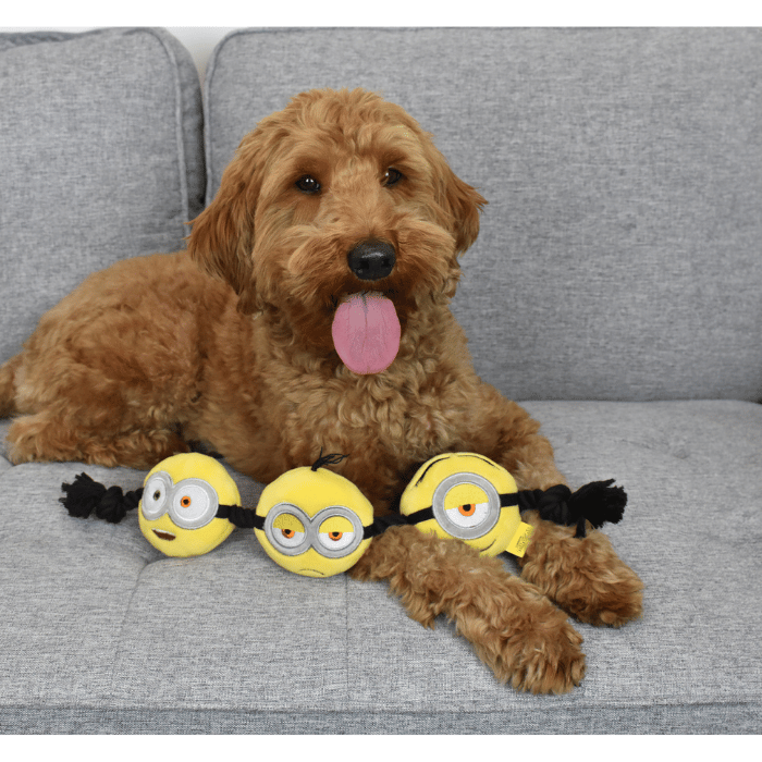 Multipet jouets pour chien Corde - Minions 3 têtes 17'' Corde - Minions 3 têtes 17''