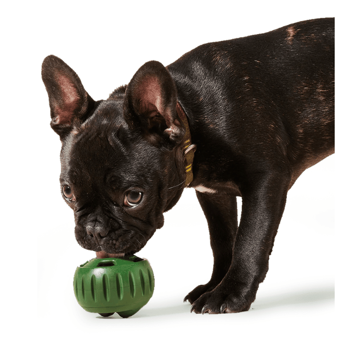 My Woof Jouet interactifs pour chiens My Woof Pupsicle