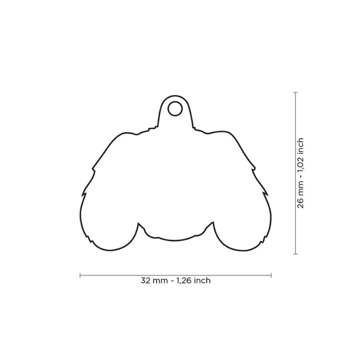 MyFamily medaille Médaille pour chiens - Friends Cavalier King Ruby