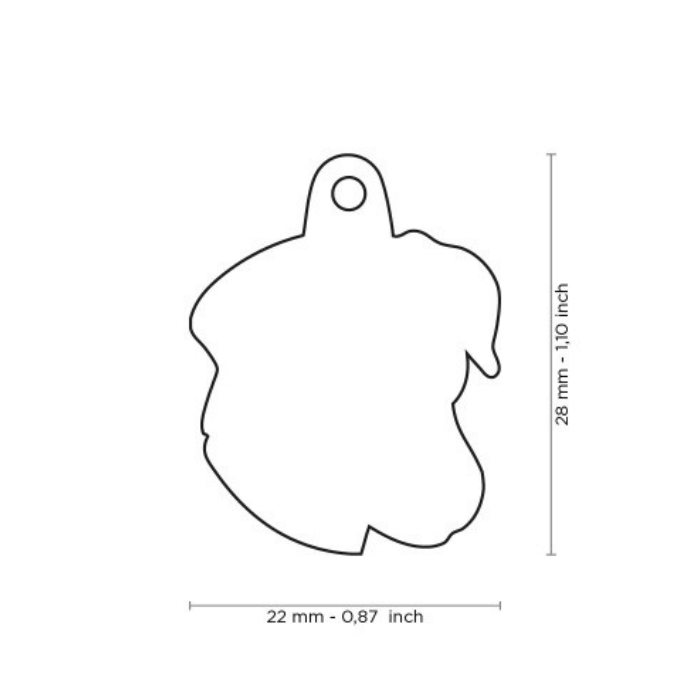 MyFamily medaille Médaille pour chiens - Jack Russel Blanc et brun