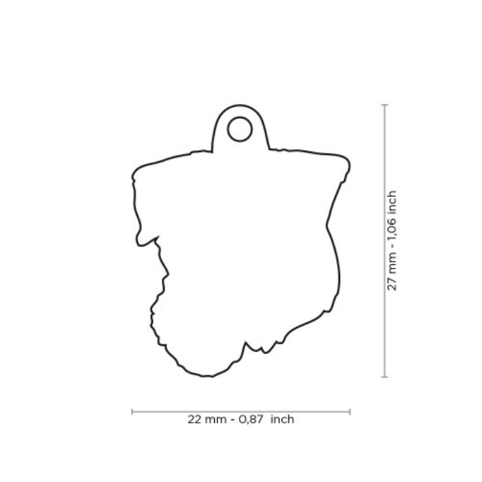 MyFamily medaille Médaille pour chiens - Jack Russel broken