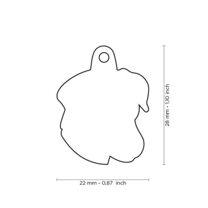 MyFamily medaille Médaille pour chiens - Jack Russel tricolor