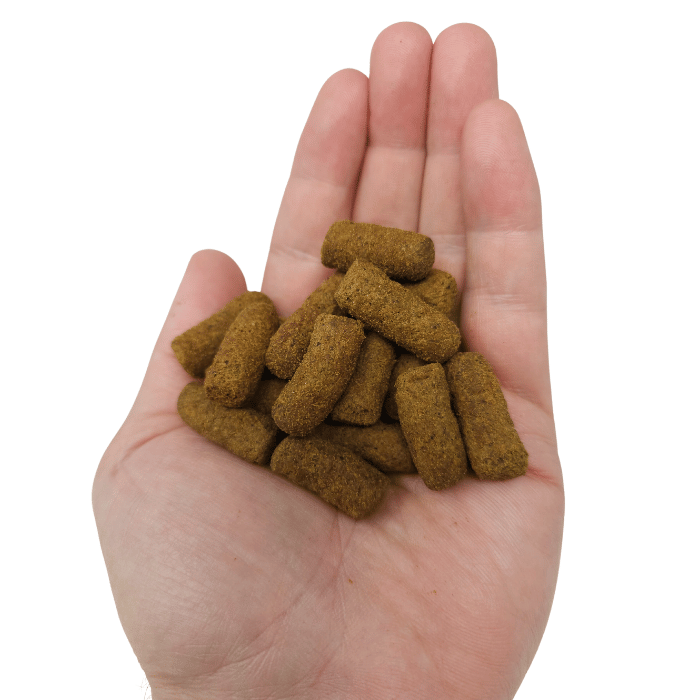 Nat-Phen Nutrition GoldenFlex pour chiens - supplément anti-inflammatoire en gâteries - saveur de saumon