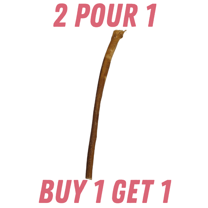 Nature's Own Gâteries Bully stick de buffle d'eau 12'' - 2 POUR 1 Bully stick de buffle d'eau 12'' - 2 POUR 1