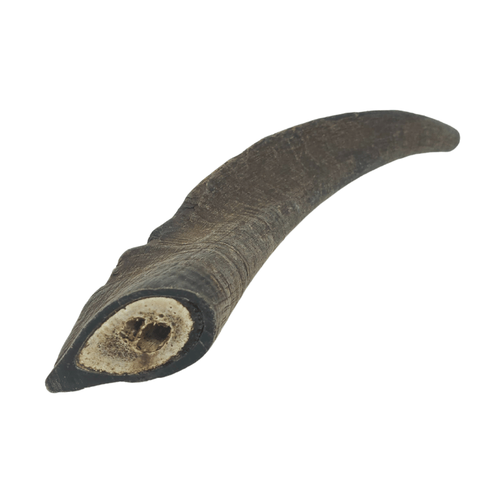 Nature's Own Gâteries Corne de chèvre - Taille moyenne Corne de chèvre - Taille moyenne