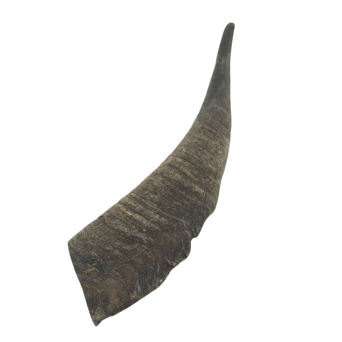 Nature's Own Gâteries Grosse corne de chèvre