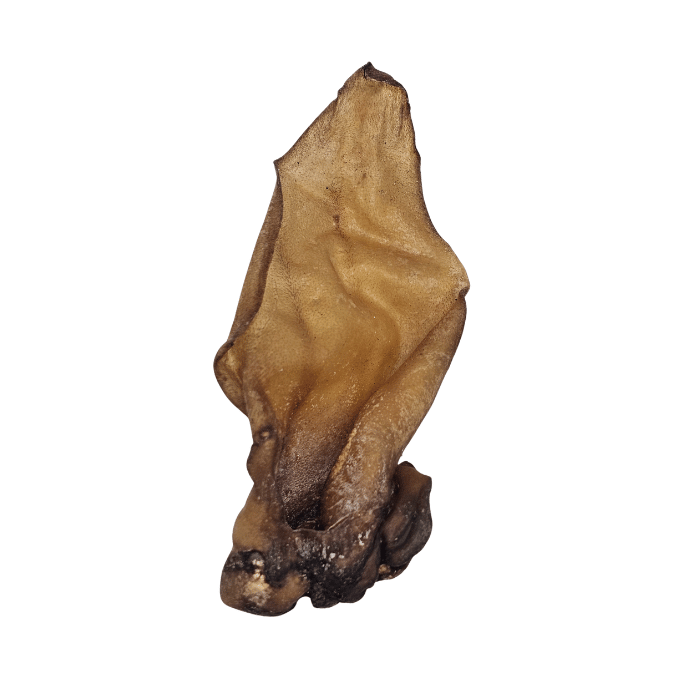 Nature's Own Gâteries Oreille d'agneau naturel Oreille d'agneau naturel