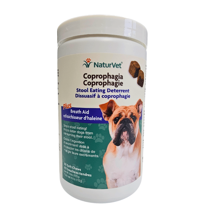 Dog eating best sale poop supplements