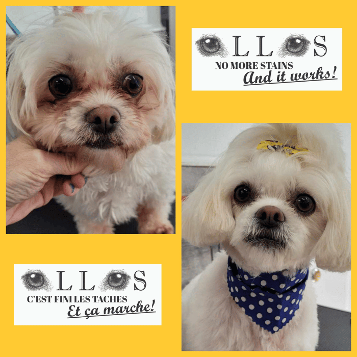 Ollos 30g Ollos, poudre contre les taches de larmes