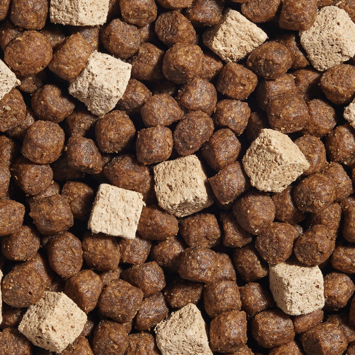 Open Farm nourriture Nourriture pour chiens - Open Farm GoodGut recette de poulet Nourriture pour chiens - Open Farm GoodGut recette de poulet