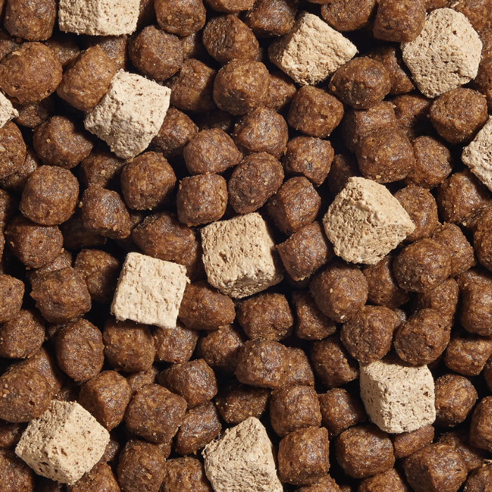 Open Farm nourriture Nourriture pour chiens - Open Farm GoodGut recette de saumon Nourriture pour chiens - Open Farm GoodGut recette de saumon