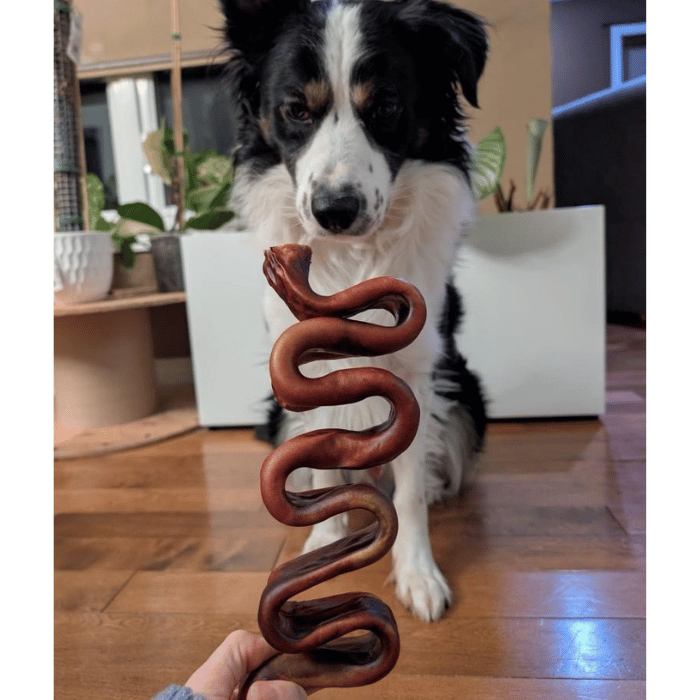 open range Gâteries Bande Collagène ondulé boeuf 10-12'' Bande Collagène ondulé boeuf 10-12''