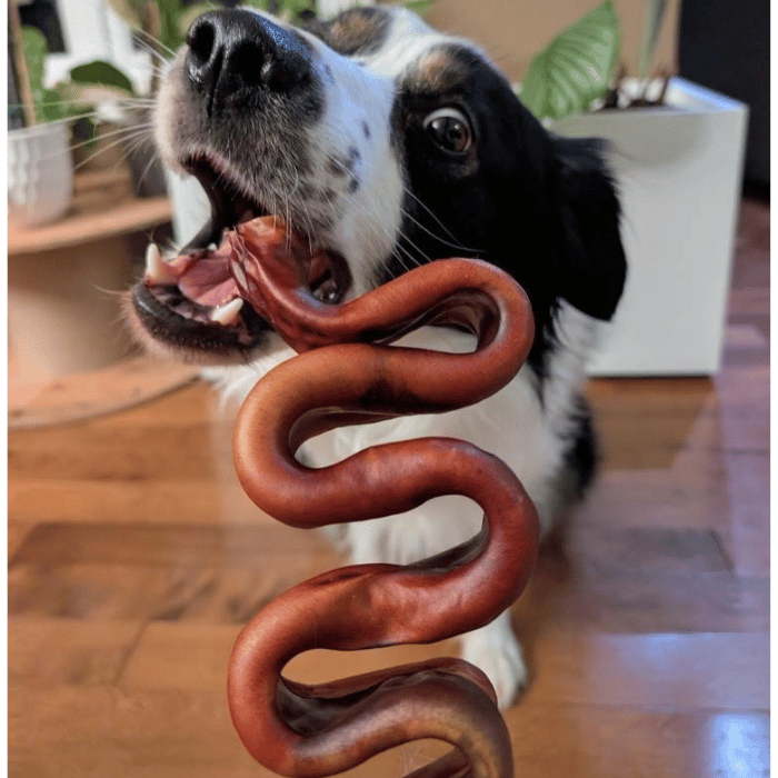 open range Gâteries Bande Collagène ondulé boeuf 10-12'' Bande Collagène ondulé boeuf 10-12''