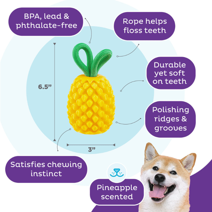 Outward hound jouet interactif Outward Hound – Ananas distributeur de gâteries Outward Hound – Ananas distributeur de gâteries