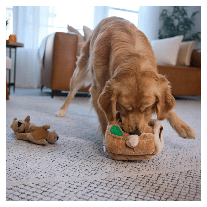 Outward hound Jouet Jouet Kyjen Outward Hound Hide-A-Squirrel Jouet Kyjen Outward Hound Hide-A-Squirrel