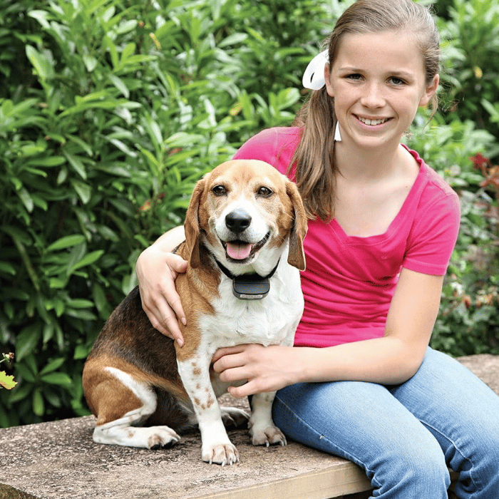 PetSafe anti fugue Clôture anti-fugue invisible PetSafe PIG00-14673 In-Ground Fence rechargeable Clôture anti-fugue invisible PetSafe PIG00-14673 In-Ground Fence rechargeable