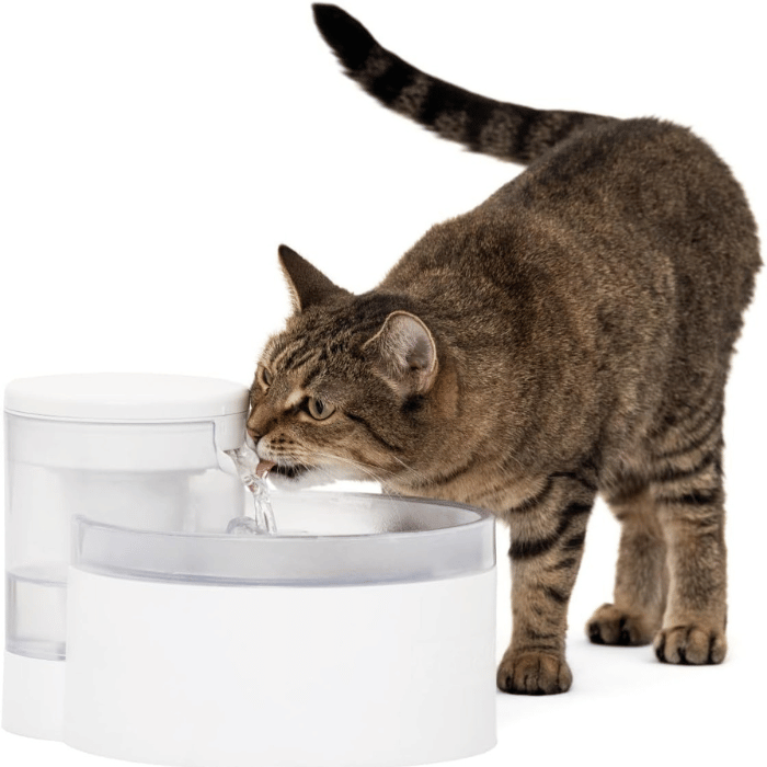 PetSafe fontaine Fontaine Sans Pompe Outlast Pour Animaux De Compagnie - 1,7 Litre -PetSafe pww10-17958 Fontaine Sans Pompe Outlast Pour Animaux De Compagnie - 1,7 Litre -PetSafe pww10-17958