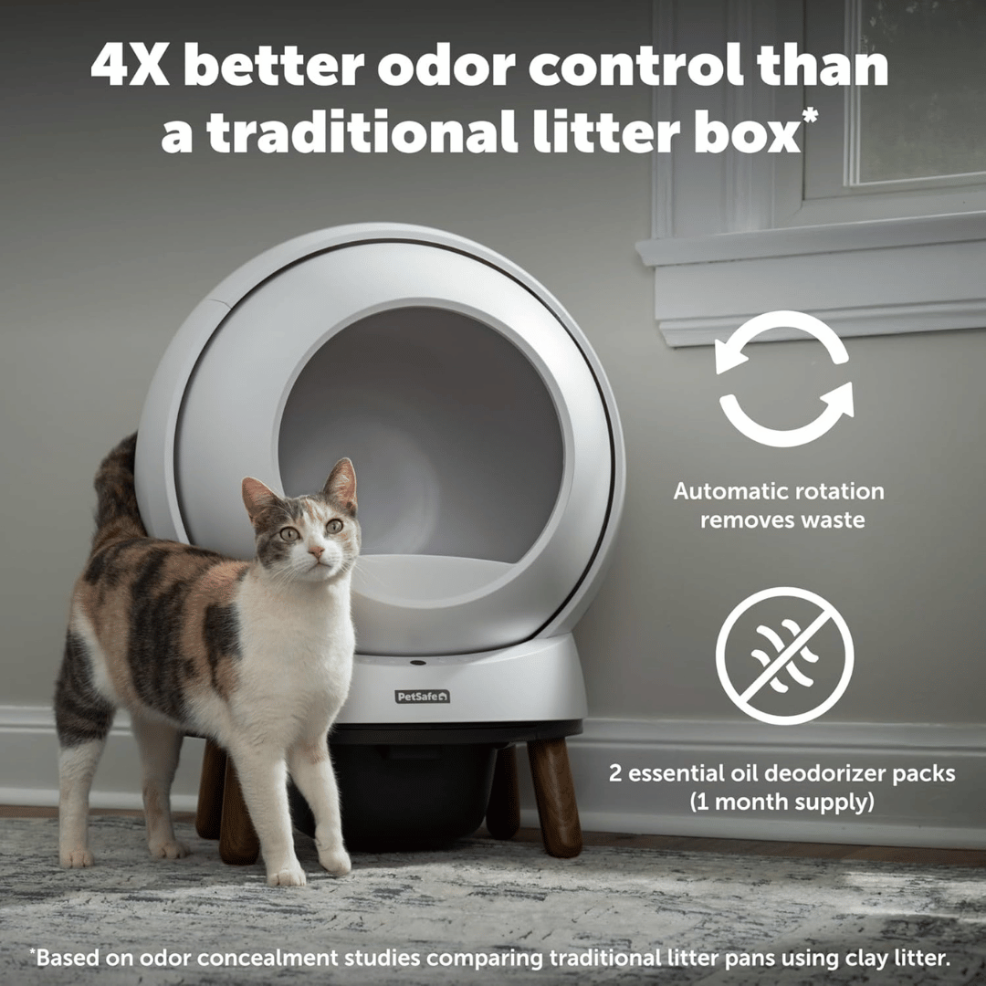 Auto scoop litter box best sale