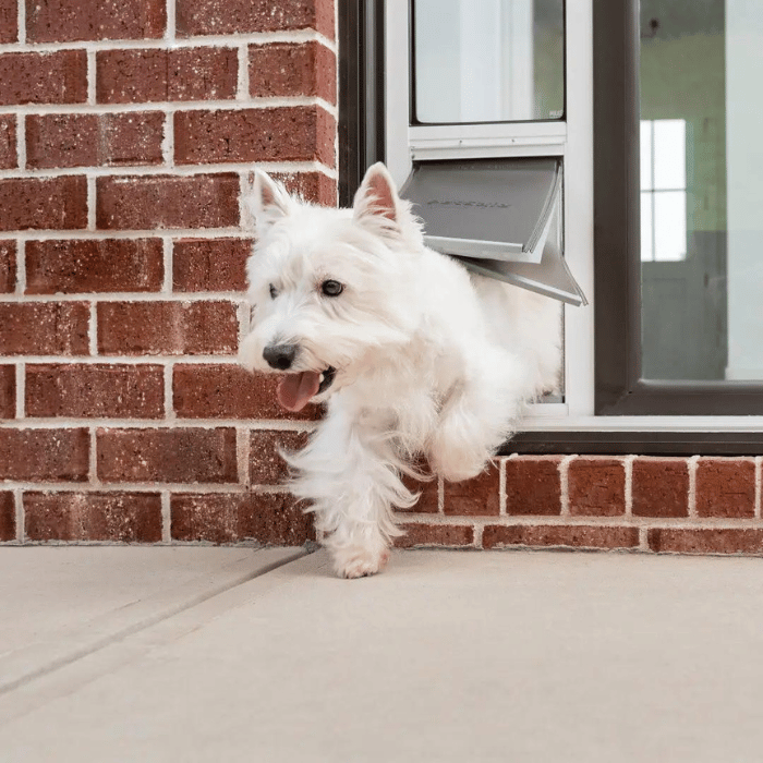 PetSafe Porte pour chien Porte Patio vitrée pour animaux - Température extrême