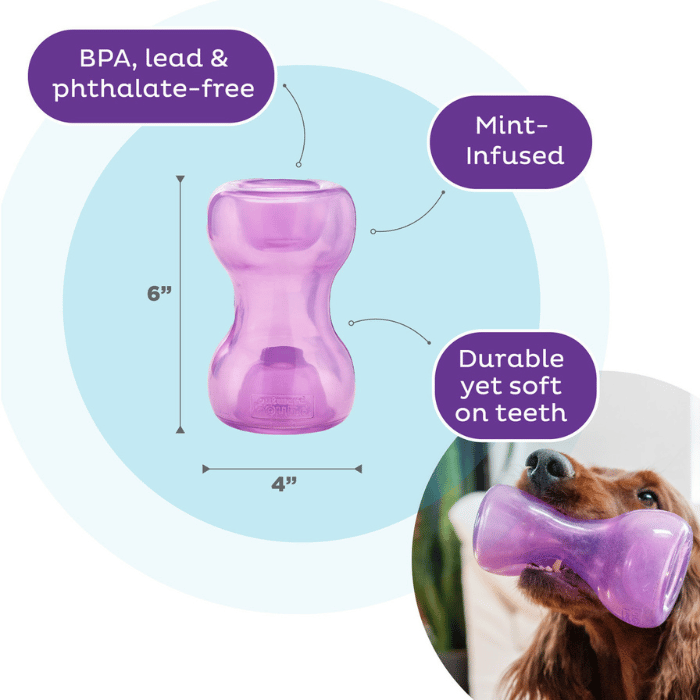 Planet dog jouet interactif Outward Hound – Snoop double distributrice gâteries – Mauve Outward Hound – Snoop double distributrice gâteries – Mauve